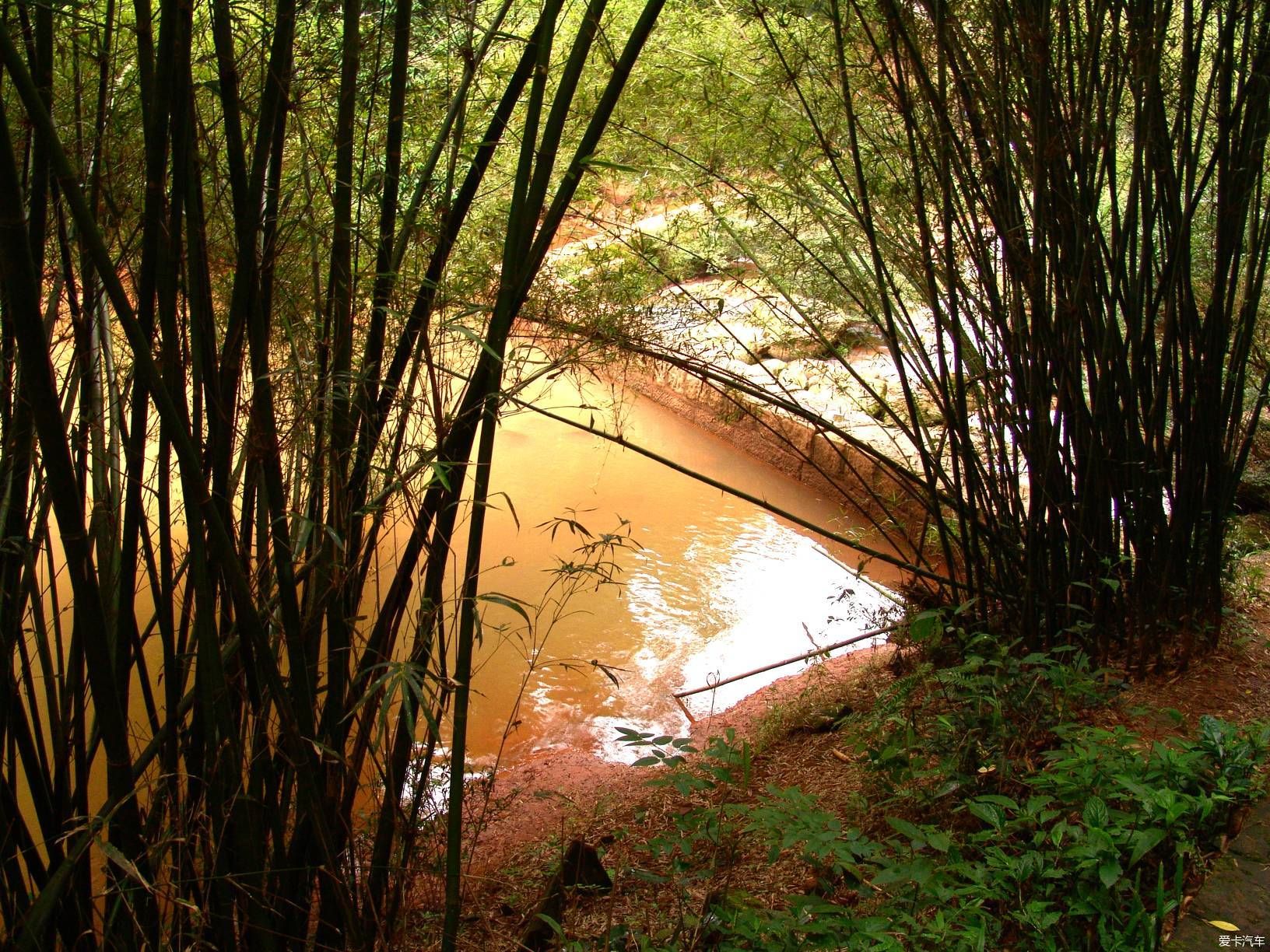 赤水四洞沟没有败笔的景区