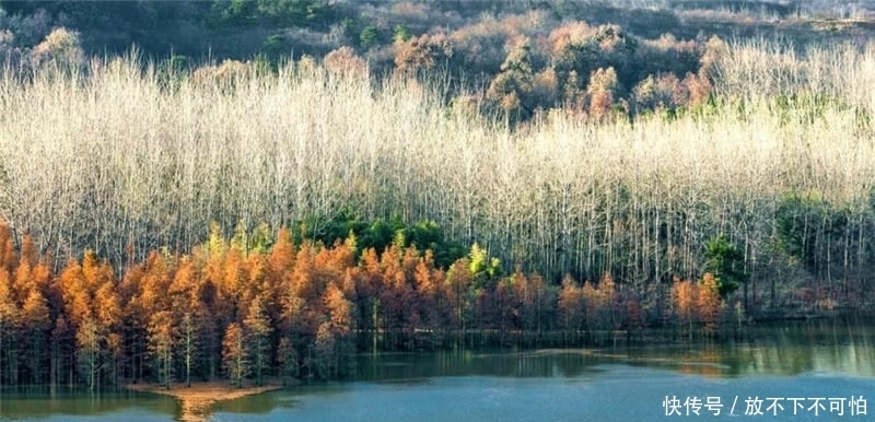 种植了大量|它被誉为南京九寨沟，红枫美景堪比栖霞寺，却少有人知