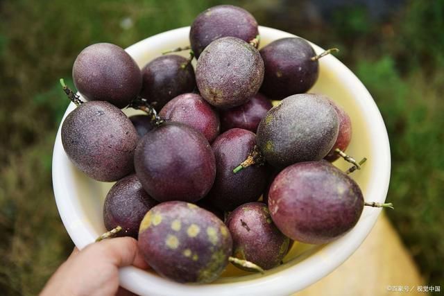 只能|如果世界末日仅剩这4种食物,只能选1个填饱肚子,我会选择绝食