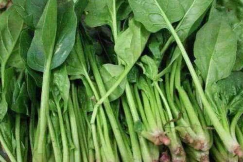 刺梨果|想长寿要先会吃,3种食物不能少,补血养颜,早吃早受益!