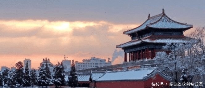 年来|故宫60年来屋顶没落过鸟粪？专家研究后，感叹：古人太聪明了