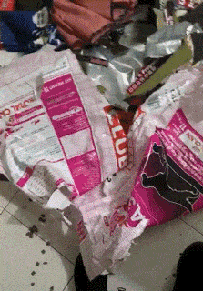 |搞笑GIF：你能不能快点儿 我快坚持不住了