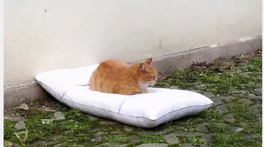 |大学生“晒被子”花样百出,一个比一个搞笑,网友浮想联翩呐