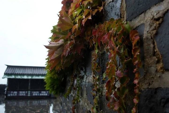 烟雨|虚幻缥缈、充满神韵的烟雨蓬莱阁，你心动了吗？