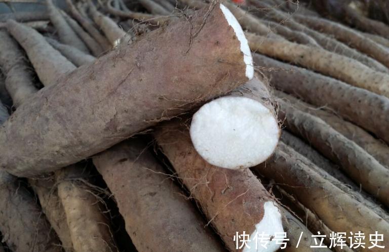 红烧芋头|秋天多给家人吃4种食材,应季而食对身体好,分享4种详细做法