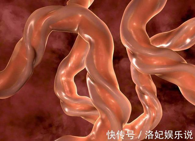 小春|孕妇辛苦挺了8个月大肚子,等待她的却是“空月子”最后哭成泪人