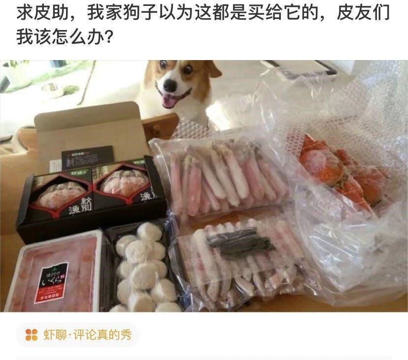 |搞笑段子:和家里介绍的妹子吃完饭了,接下来我该怎么办啊?