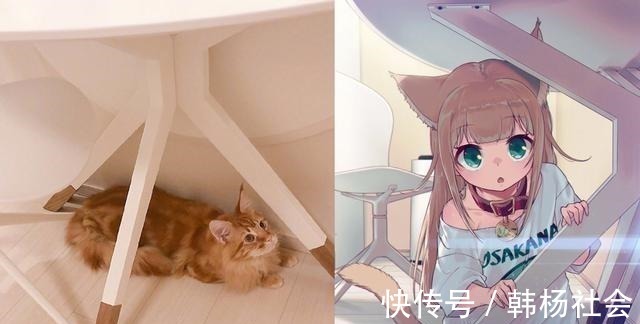 半兽人|想让猫咪变成人变是不可能的,但画师可以将其画出来!
