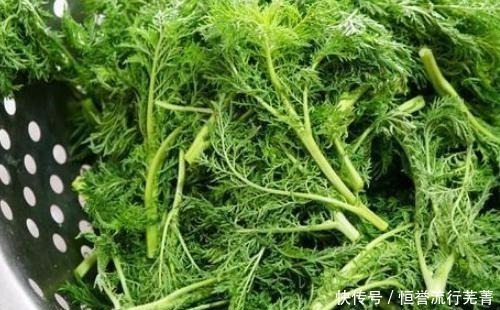 别再把这道菜当野草了,把他带回家蒸,很酷回甘,春天没吃真可惜