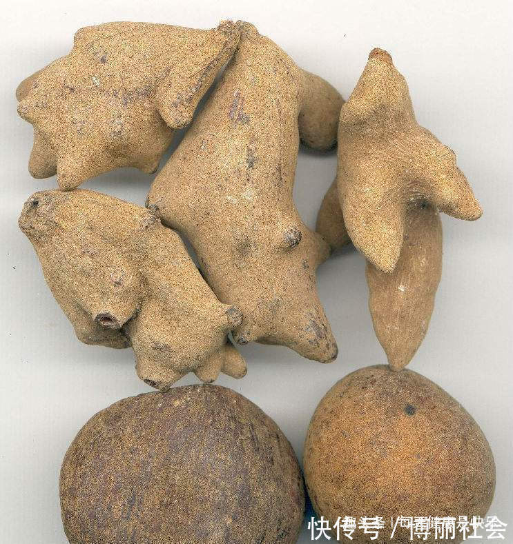 肝中毒|中药吃多了也会伤肝,以下这4种常见中药要慎用,别怪没提醒你!