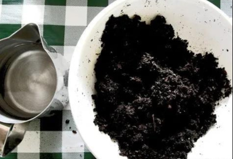 室内绿植种花不用盆，揉一个小球吊起来就让家里美翻