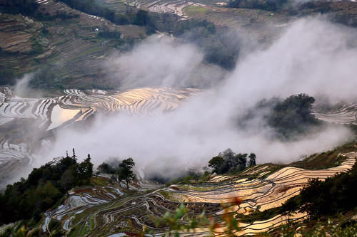 元阳坝达梯田景区，最佳日落观景点，可惜运气差了一点点