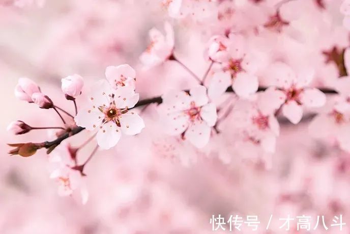 江月@100首春天唯美古诗词(值得收藏)