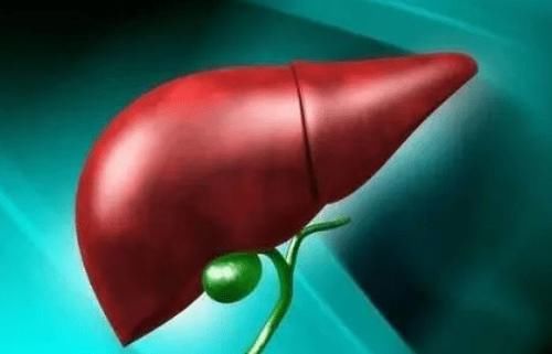 消化道出血|脂肪肝要多吃“黄瓜”？医生告诉你答案，肝不好的人，建议了解下