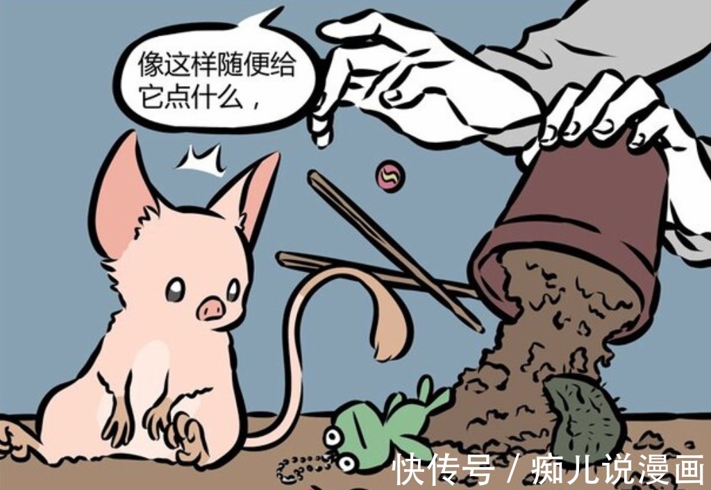 建筑物|非人哉：最早的九烈CP粉，号称烈烈最强僚机，还送九烈上过电视