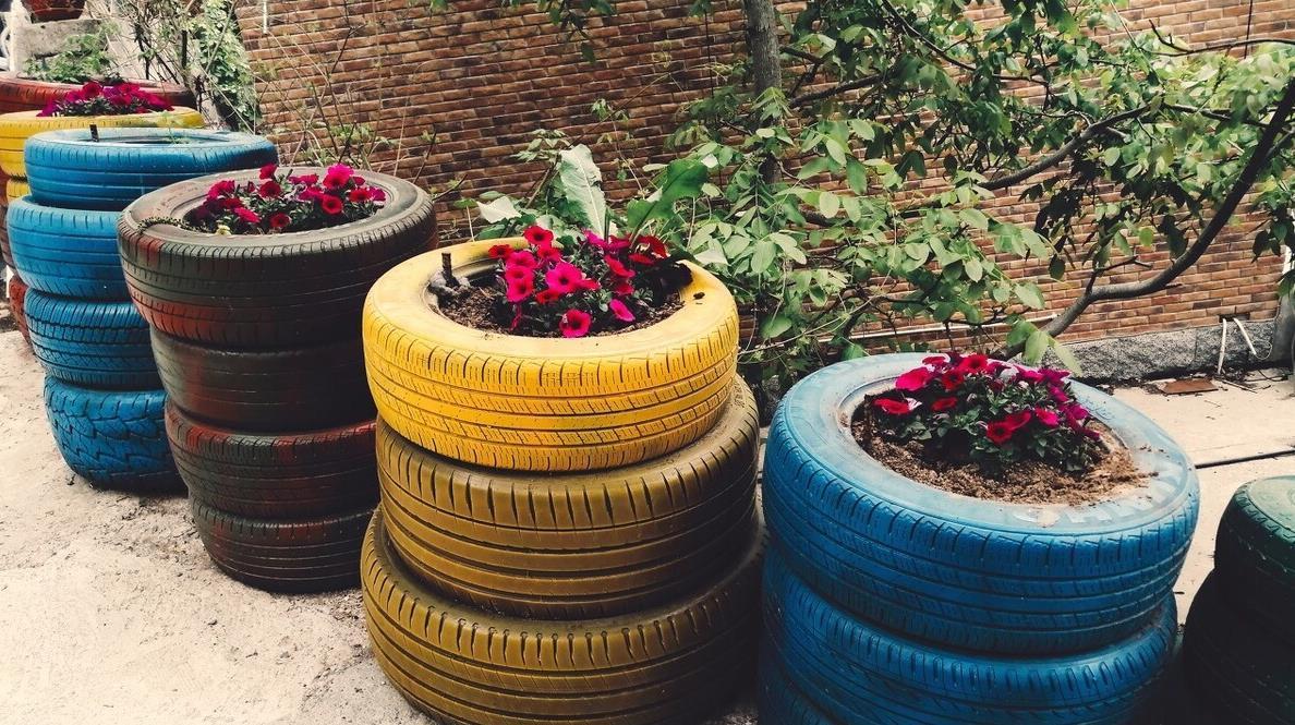 为省钱,用这几种“废品”养花,结果花友跟风效仿,意外啊