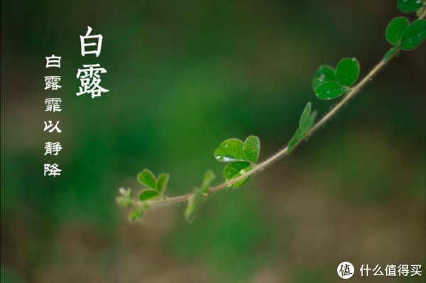 百合|白露将至，饮食讲究“5多吃1少吃”，少生病，为秋冬健康打基础