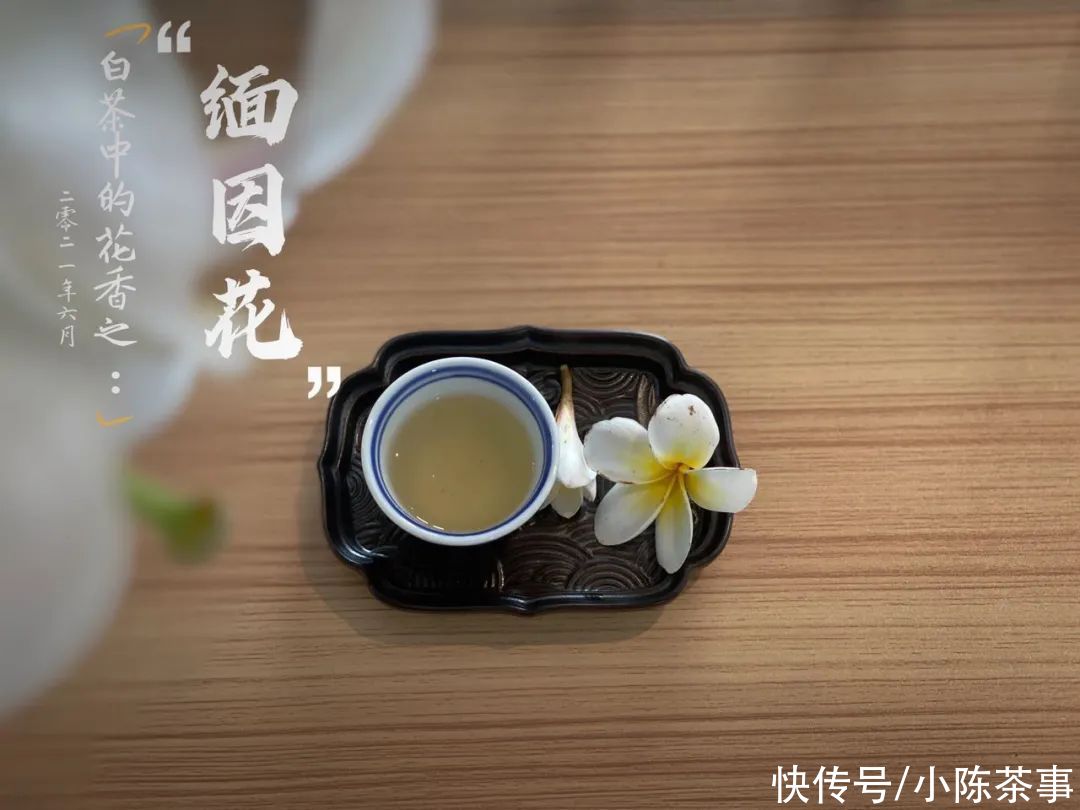 新茶|新白毫银针VS老白毫银针，是不是新茶的毫香味，喝起来更浓一点？