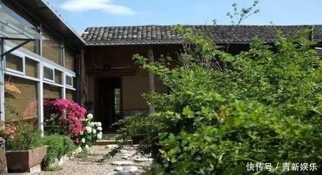 桃花源|20多岁的年龄差距,却把一个破烂的农家小院变成了“桃花源”