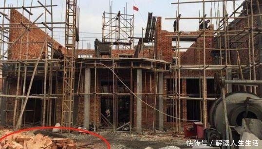 自制|工地上的这“2物”，是养花的宝贝，随手捡点回家，营养土不用买！