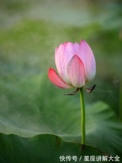 木生火生财局|进入8月上旬，吉星关照，4属相财旺运旺事事旺，生活顺风顺水