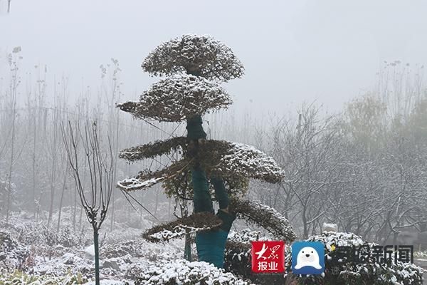 入冬|@邹平市民：入冬以来第一场雪请您查收