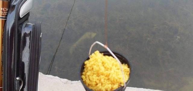 野钓时四种错误的打窝方式,钓不到鱼还浪费饵料