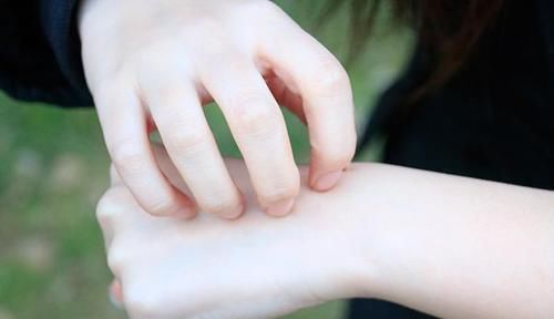 味道|被子晒过后,闻到的阳光味,是螨虫尸体味道别多想,告诉你真相