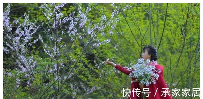 农村|李子柒的厨房脏吗？有人提出质疑，网友：你就酸吧