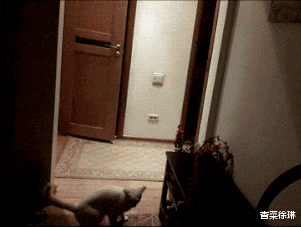 脑洞|“为什么瓷勺上面有个洞?这个洞有什么用啊?”哈哈哈哈网友们的脑洞太大了