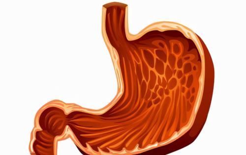 营养物质|胃不好不能吃葡萄?建议:若想养胃,3种水果可常吃,建议了解