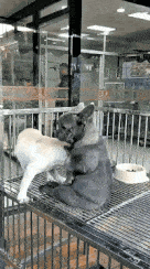 |搞笑段子王：妹子，你调皮了