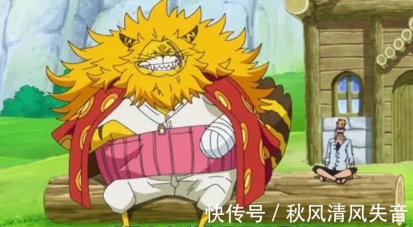 海贼王|海贼王漫迷评选出赤鞘九侠的热度排名，是大家心目中的排名吗