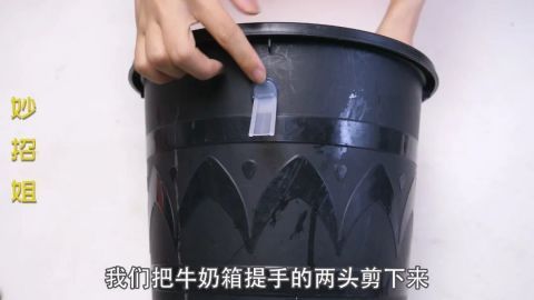 今天才知道,原来牛奶箱提手还有10个隐藏功能,以后再也不扔了