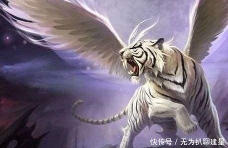 神兽|上古五方圣兽:东青龙西白虎,南朱雀北玄武,中央是何方神兽?