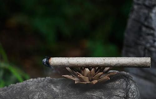 艾灸要掌握“君臣佐使”取穴技巧!中医教你配