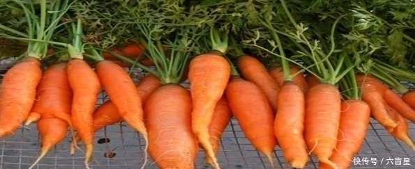 食物|医生告诉你:这八种食物最抗癌,别吃错了