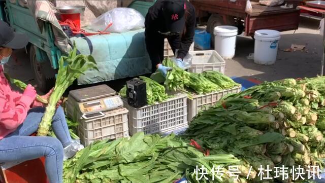 春天里|免费的叶子比茎好吃,别再扔掉叶子啦,教你简单炒一炒比肉还下饭