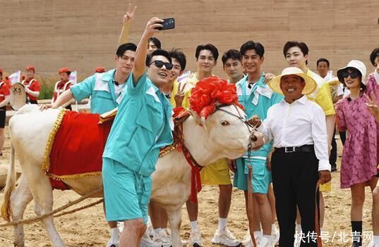 曾舜晞|《牛气满满的哥哥》官宣定档 嘉宾大换血阵容仍强大