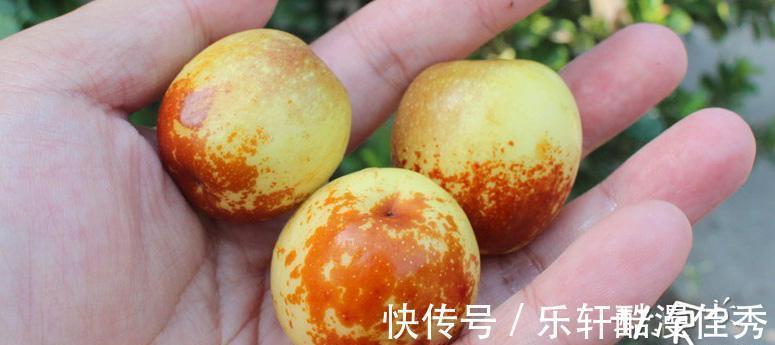 秋季|建议大家秋季尽量少吃油炸食品,这4种食物可常吃,营养又美味