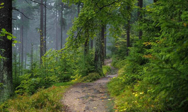 哲理#杨万里比较冷门的一首诗,但很显然被低估了,也是一首难得的佳作