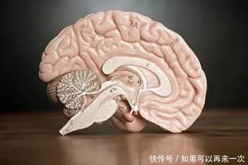 【草丁图书馆】关于小脑萎缩的治疗