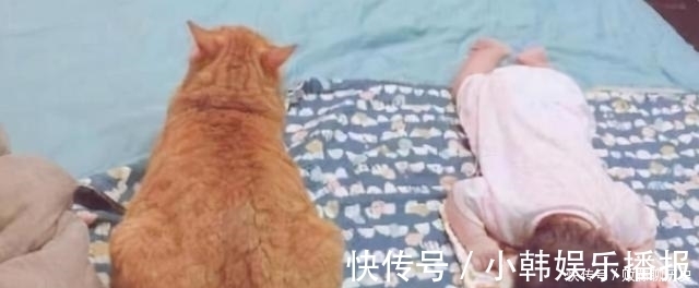 新手|孩子多大才能白天只睡一觉?0-3岁睡眠时间表,新手爸妈别错过