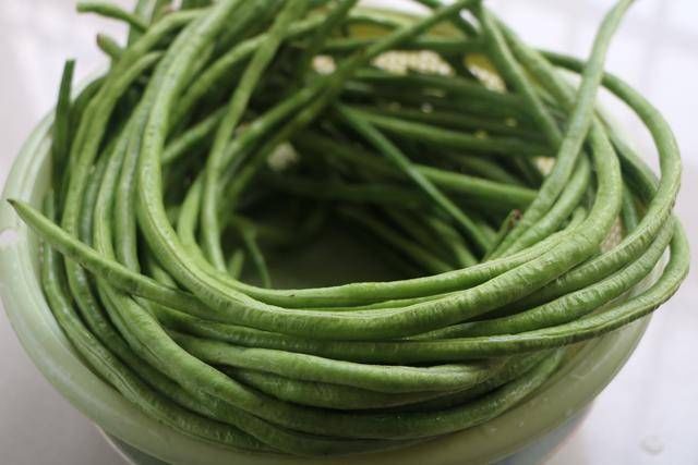 酸豆角|酸豆角别再买了，自己在家做又酸又香，干净又卫生，7天就能吃！