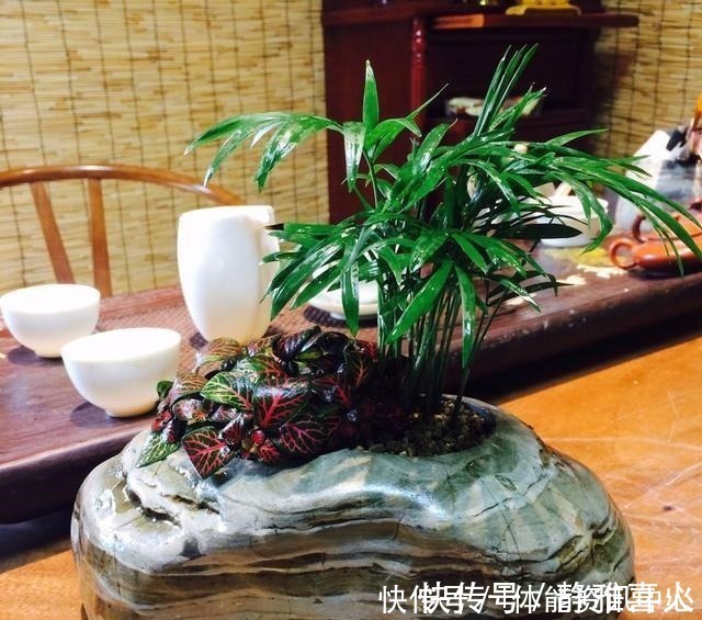 切割机|花盆买不起,自己动手做,好看又实用!花盆买不起,自己动手做,好看又实用!