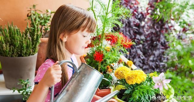 枝繁叶茂|什么啤酒水、淘米水都不如一种水,比花肥还管用,养啥花都爆盆