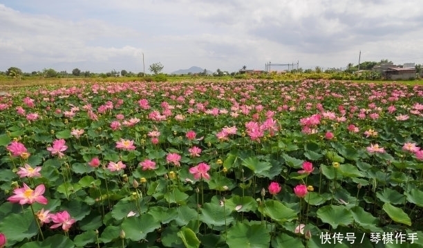 夫妻|出生在这6天的“生辰吉日”的夫妻，子女相貌好，福气更好！