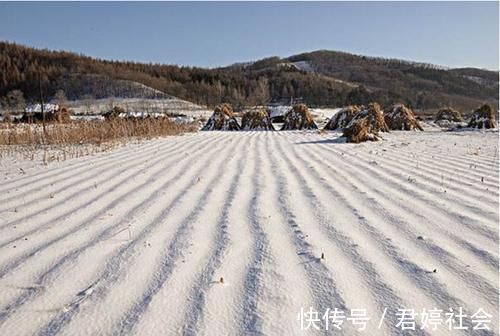 小儿语|这几个月份出生的孩子，长大后一般很有福气，中了一个也要恭喜