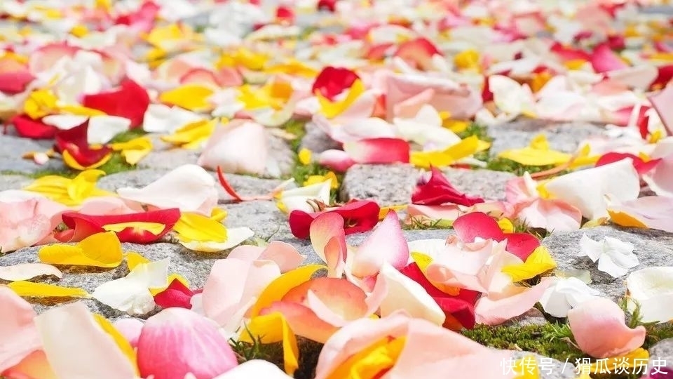 声律|声律启蒙 上平十二文02 施帐解围嘉道韫,当垆沽酒叹文君