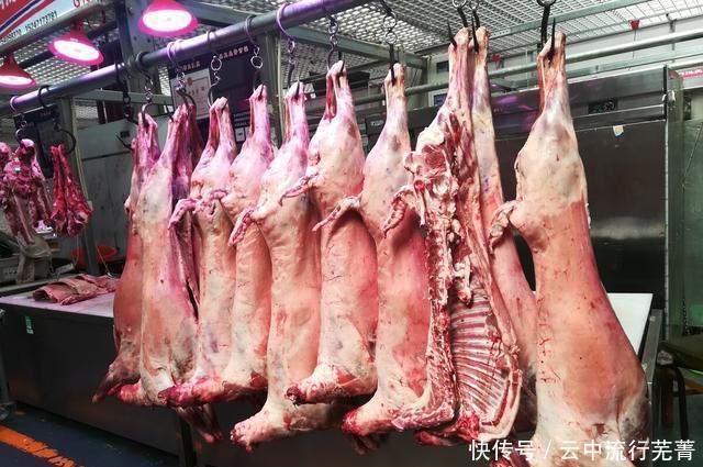 羊肉汤|买羊肉时,是前腿好还是后腿好肉贩不同吃法不同选择不同口感